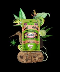 Lost Farm Sour Kiwi