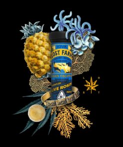 Lost farm Golden Pineapple x Papaya