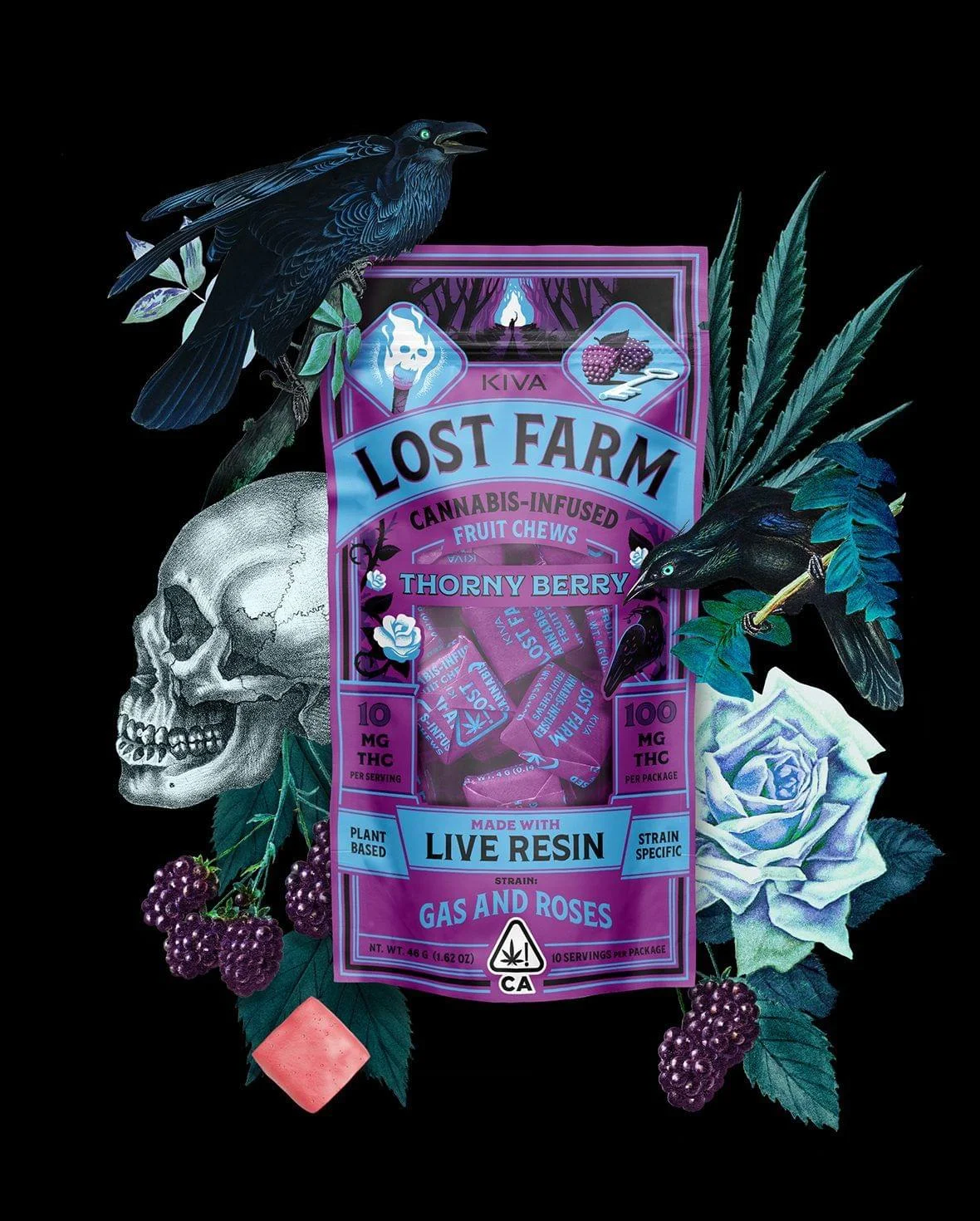 CA.LostFarm.TB.GNR.FlavorCollage.1180x1470.230823.1225.jpg.bv_resized_desktop.jpg.bv Lost Farm Thorny Berry