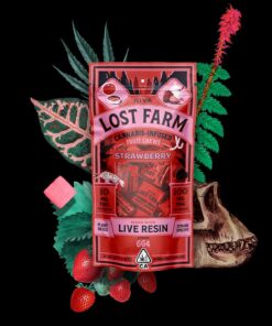 Lost Farm Strawberry GG4
