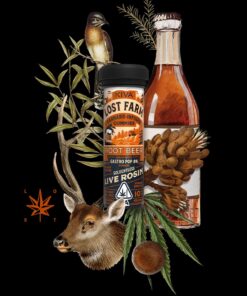 Lost Farm Root Beer x Gastro Pop