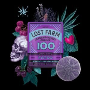 100mg Triple Berry x Fatso Live Rosin Gummy