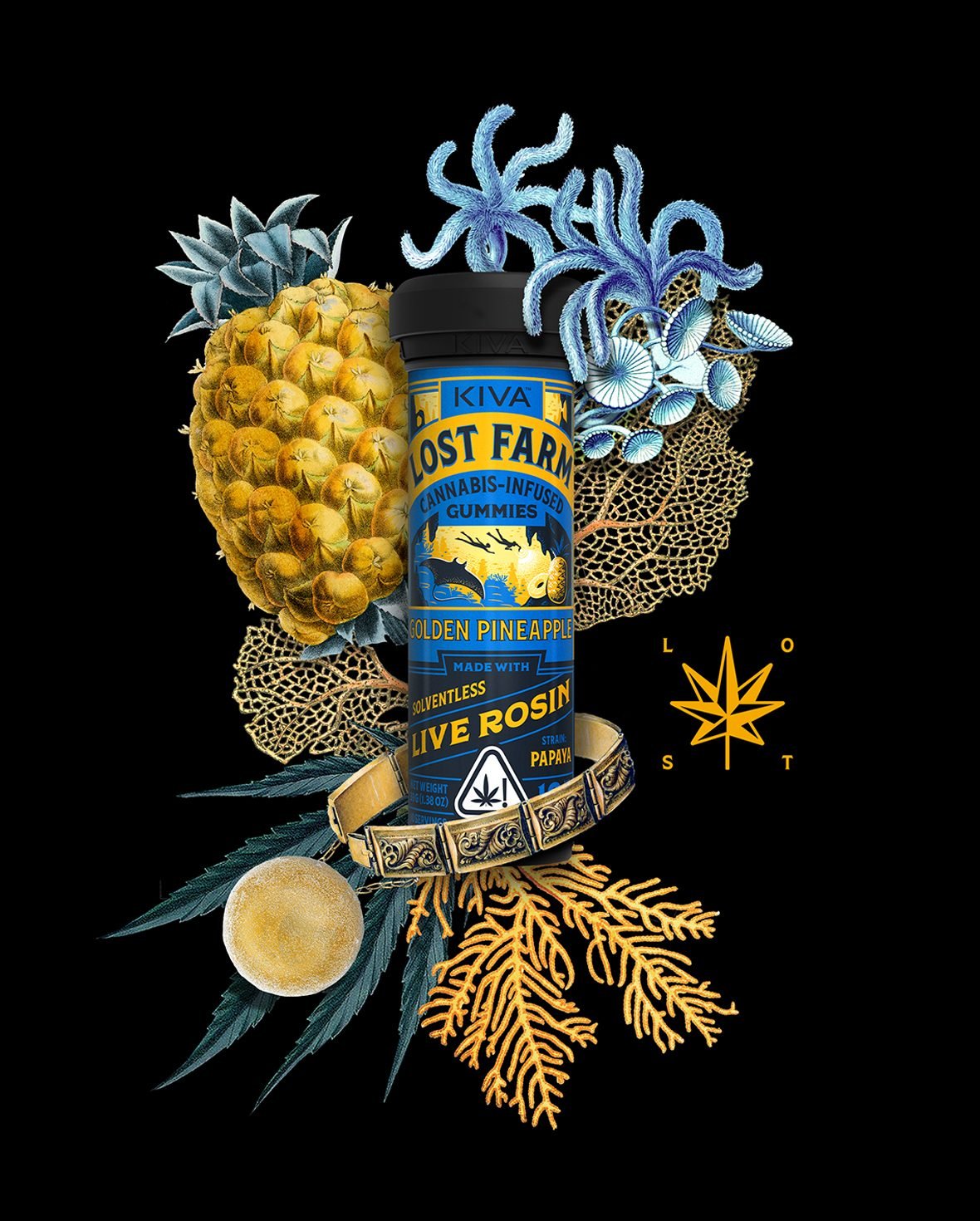 10mg Golden Pineapple x Papaya Live Rosin Gummies golden pineapple papaya gummies
