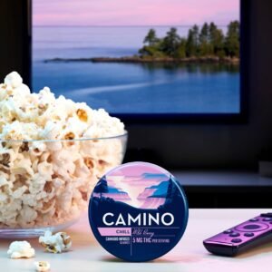camino chill wild berry gummies