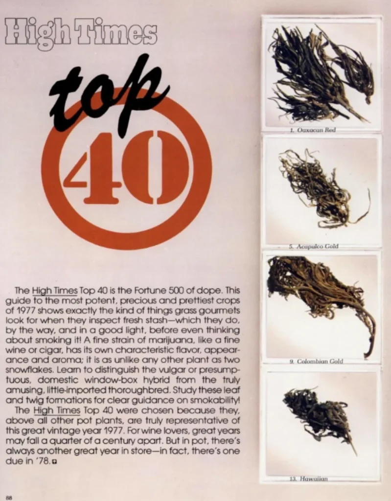 cannabis in the 70s